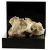 A Bijoux Quarzo Fumè. 775,2 Ct. Massiccio Del Monte Bianco, Francia.