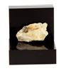 A Bijoux Quarzo + Calcopirite. 9.93 Ct. North Hatley, Québec, Canada.