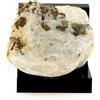 A Bijoux Pirite + Dolomite. 1285,0 Ct. Miniera Di Talco Di Trimouns, Ariège, Francia.