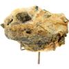 A Bijoux Pirite + Talco. 945,1 Ct. Miniera Di Talco Di Trimouns, Ariège, Francia.
