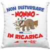 Vulfire Federa per Cuscino Nonno Speciale, Idea Regalo di Compleanno Originale, Frase Divertente, Non disturbare Nonno in ricarica Divano Letto - senza Imbottitura (40_x_40_cm, Nonno)