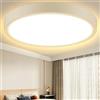 Aigostar Plafoniera LED Soffitto Moderna, 24W Equivalente a 152W, Ø28.5cm,2500LM alta luminosità, Lampada da Soffitto LED 3000K Luce Bianca Calda,per Soggiorno, Camera da Letto, Cucina, Balcone