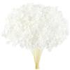 Larber 300 Pezzi Fiori Secchi Brasiliani Fiori Mini Fiori Secchi Arancione Fiori Naturali Gypsophila Casa Piccola Stella Decorativi (Bianco come la Neve)