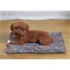 GOBIWM Materasso per letto per cani, multiuso, lavabile in lavatrice, coperta, tappetino per cani di taglia piccola, media e grande e gabbie per gatti (caffè, S (30 x 50 cm)
