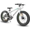 HH HILAND Hiland 20 pollici, mountain bike per bambini, 7 marce, Fat Tires, mountain bike, doppio freno a disco per bambini, per ragazzi e ragazze, colore: Argento/Verde/Bianco/Blu (bianco)
