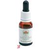 BUSH BIOTHERAPIES PTY LTD BUSH FUCHSIA GOCCE 15 ML