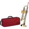 Alysee Tromba PERINET Tr 6333 Gold