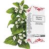 lindas Melissa 30 ml gocce lindas