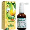Lemuria ANDRES SPRAY 30 ML