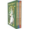 Star Comics Magic knight Rayearth. Clamp premium collection. Box (Vol. 2)