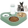 doepeBAE Ciotola Doppia in Acciaio Inox per Cani e Gatti - Distributore Automatico 2 in 1 da 500 ml di Cibo e Acqua, Ideale per Gatti e Cani Domestici (Verde)