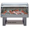 TECFRIGO Vetrina refrigerata - Cm 203.8 x 96 x 61.5 h