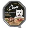 Cesar Ricette di Campagna Con Tenero Tacchino Manzo ed Erbe Cibo Umido Per Cani Vaschetta 150 Gr