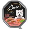 Cesar Selezioni dell'Orto Con Manzo e Cuore di Verdure Cibo Umido Per Cani Vaschetta 150 gr