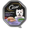 Cesar Selezioni dell'Orto Con Agnello Sugoso Tacchino e Fagiolini Cibo Umido Per Cani Vaschetta 150 gr