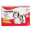 Camon S.p.A. Camon Pannolini Mutandina Taglia S per Cani - 12 Pezzi Usa e Getta