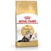 Royal Canin Gatto Adult Breed Persian Crocchette Alimento Secco Completo per razza Persiana 12 mesi+ Sacco 2 Kg
