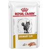 Royal Canin Feline Gusto Manzo Alimento Umido Dietetico per Gatto Adulto con Calcoli Urinari Formato 85 g Loaf