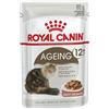 Royal Canin Feline Gusto Carni Alimento Umido Completo per Gatto Senior oltre 12 Anni Formato 85 g