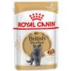 Royal Canin Feline Gusto Carni Alimento Umido Completo per Gatto Adulto British Shorthair Formato 85 g