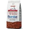 Monge Mini Puppy & Junior Monoprotein Agnello Riso Alimento Secco Completo per Cane Mini Formato 2,5 kg