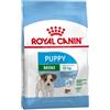Royal Canin Cane Starter Mother e Babydog Alimento Secco per Femmine Gravide e Cuccioli 4 settimane + Formato Sacco da 1 kg