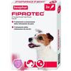 BEAPHAR B.V. Beaphar Fiprotec Spot-On per Cani 2-10 kg - 3 Pipette