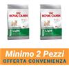 Royal Canin MINIMO 2 CONFEZIONI - Royal Canin SHN Mini Light Weight Care Alimento Secco per Cane Tag Piccola con Tendenza al Sovrappeso 8Kg