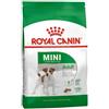 Royal Canin Cane Size Mini Mature Alimento Secco Equilibrato Cani Maturi Piccola Taglia 8 anni fino a 10kg Formato Sacco 800 gr