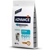 Advance Kitten Gatto Crocchette Alimento Secco Completo per Gattini e Gatte in Gravidanza Gusto Pollo e Riso Sacco da 1,5 Kg