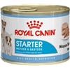 Royal Canin Cane Starter Mousse Mother e Babydog Alimento Umido per Femmine Gravide e Cuccioli 4 settimane+ Lattina da 195 gr