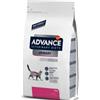Advance Veterinary Diets Cat Urinary Alimento Secco Completo per Gatti adulti con disturbi del tratto urinario inferiore 1,5 Kg