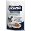 Advance Veterinary Diets Recovery Alimento Umido Dietetico per Cani e Gatti per Convalescenza/Recupero Post-Operatorio cf 100gr