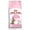 Royal Canin Felin Gusto Pollo Alimento Secco Dietetico per Gatto Cucciolo Sterilizzato Formato 400 g