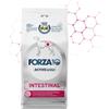 Forza 10 Intestinal Active Gusto Pesce Alimento Secco Dietetico per Cane Formato 4 kg