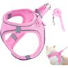 Generico Imbracatura da Passeggio per Gatti | Set Imbracatura e Guinzaglio per Gatto,Pettorina per Piccoli Grandi Animali Domestici Collare per Escursioni Zaino Addestramento All'Aperto