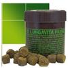 LIS FLAVOUR D.C.I. GRANI LUNGAVITA FIUGGI 35G C.M.