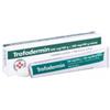 SIT LABORATORIO FARMAC. SRL Trofodermin Crema Derm 30 G 0,5 G+0,5 G/100 G
