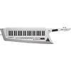 Roland AX-EDGE W White 49 Keyboard Keyter Velocity Support musica NUOVO GIAPPONE