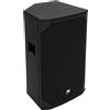 OMNITRONIC AZX-215A 2 vie superiore attivo 350W (11039034)