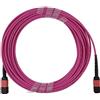 BlueOptics Cavo patch multimodale OM4 MPO-MPO compatibile EMC CBL-MPO12-OM4-30M 30 metri