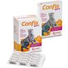 CANDIOLI GATTO CONFIS PER METABOLISMO ARTICOLARE COMPRESSE 15PZ