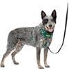 PetSafe Easy Walk - Pettorina per cani con imbottitura completa, per passeggiate migliori al primo utilizzo, 5 punti di regolazione, taglia M/L, colore: verde