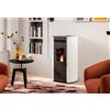 Palazzetti Stufa a Pellet ad Aria Palazzetti Ecofire Flo TC 6 Kw - Vari Colori