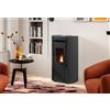 Palazzetti Stufa a Pellet ad Aria Palazzetti Ecofire Flo TC 6 Kw - Vari Colori