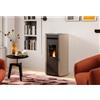 Palazzetti Stufa a Pellet ad Aria Palazzetti Ecofire Flo TC 9 Kw - Vari Colori