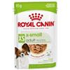 Royal Canin Dog Adult X-Small Bocconcini in Salsa Busta 85 g