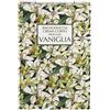 Lowup COFANETTO CORPO VANIGLIA 1 BAGNO DOCCIA VANIGLIA 125 ML + 1 CREMA CORPO VANIGLIA 125 ML