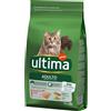 Affinity Ultima Ultima Adult Salmone - 1,5 kg
