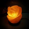 Lampade di Sale Store Lampada di Sale Himalayano USB Rosa scolpita a forma di Rosa 600 g con luce Led RGB e base in legno